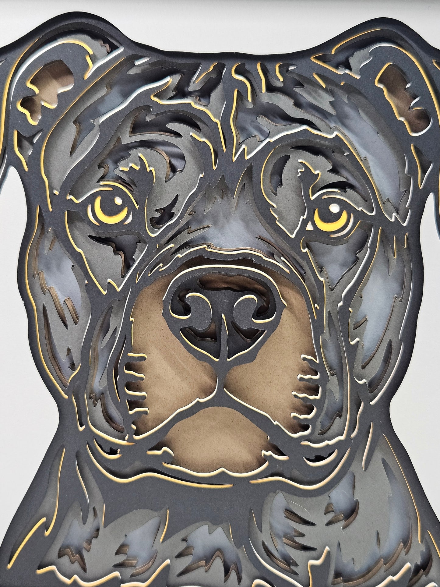 Pit Bull Terrior
