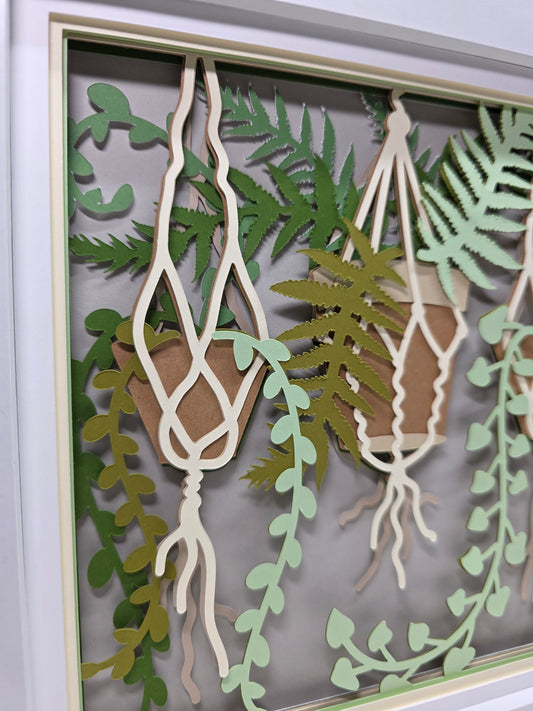 Hanging Plants
