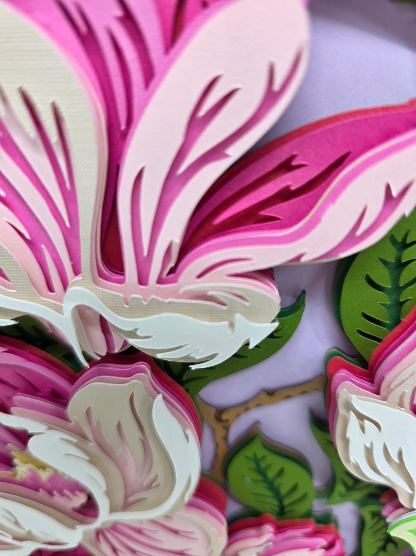 Magnolia