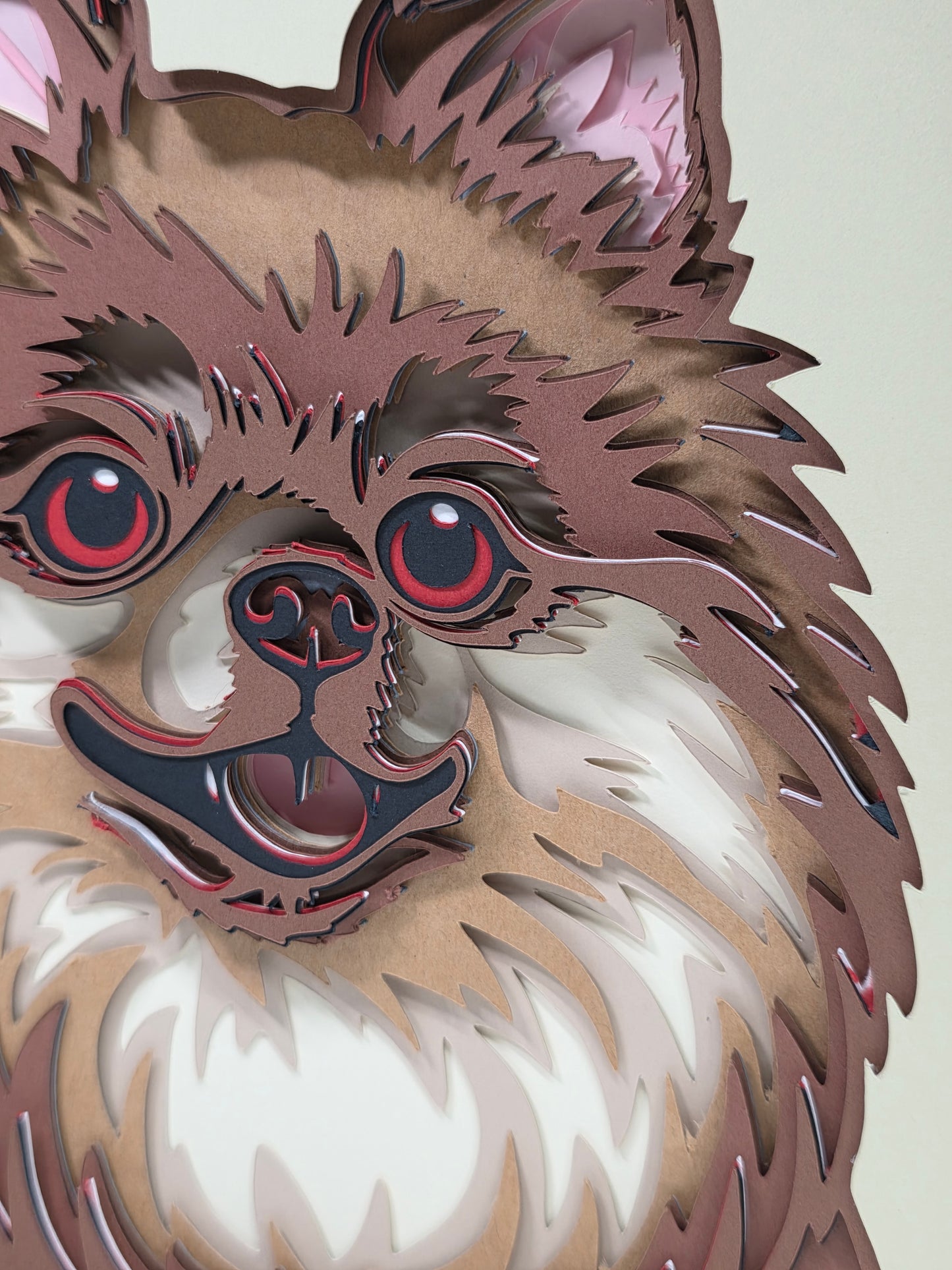 Pomeranian