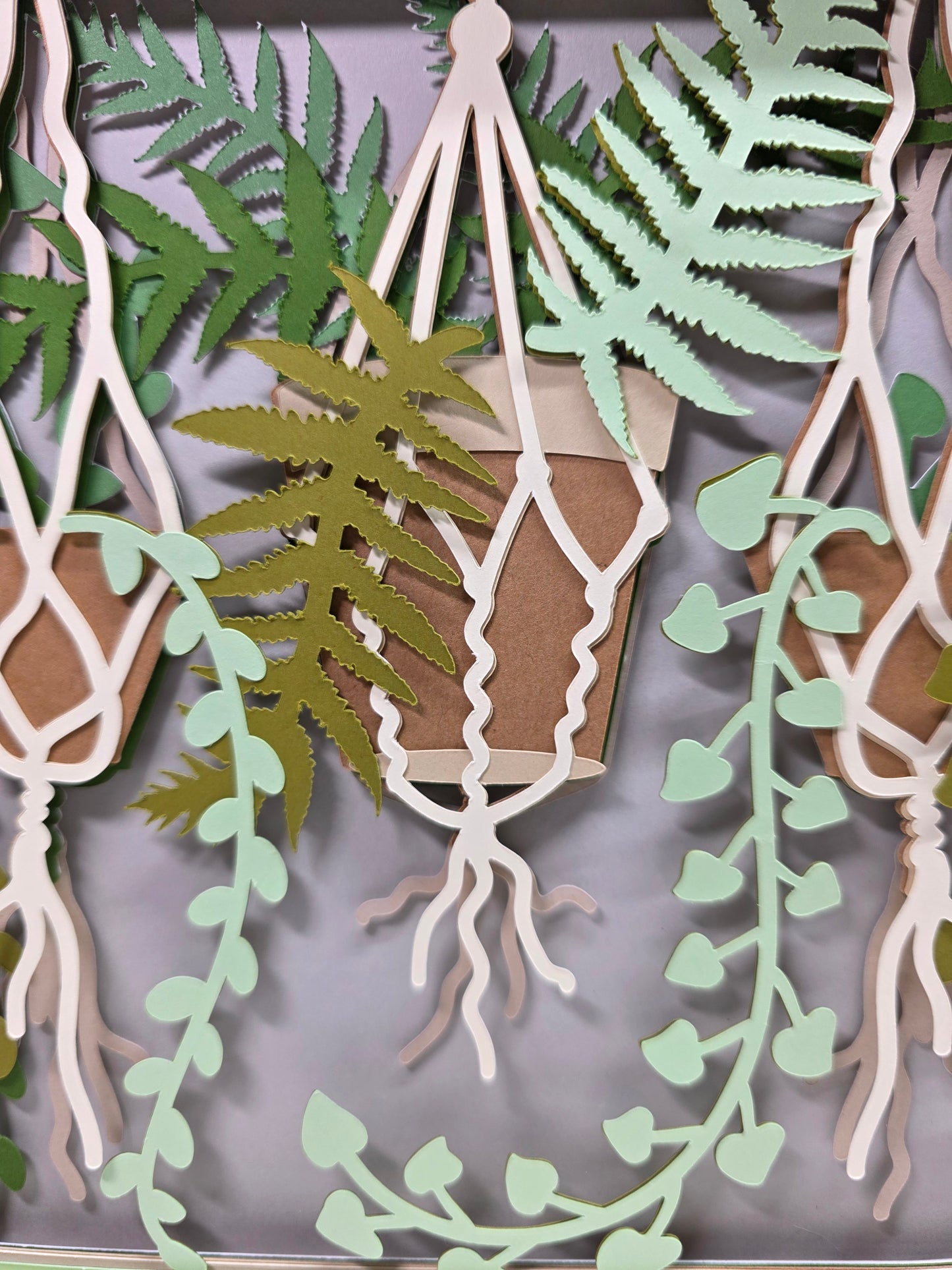 Hanging Plants
