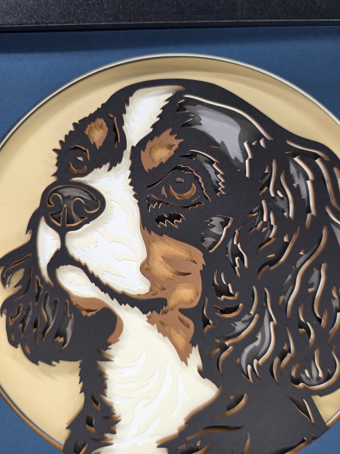 Cavalier King Charles Spaniel