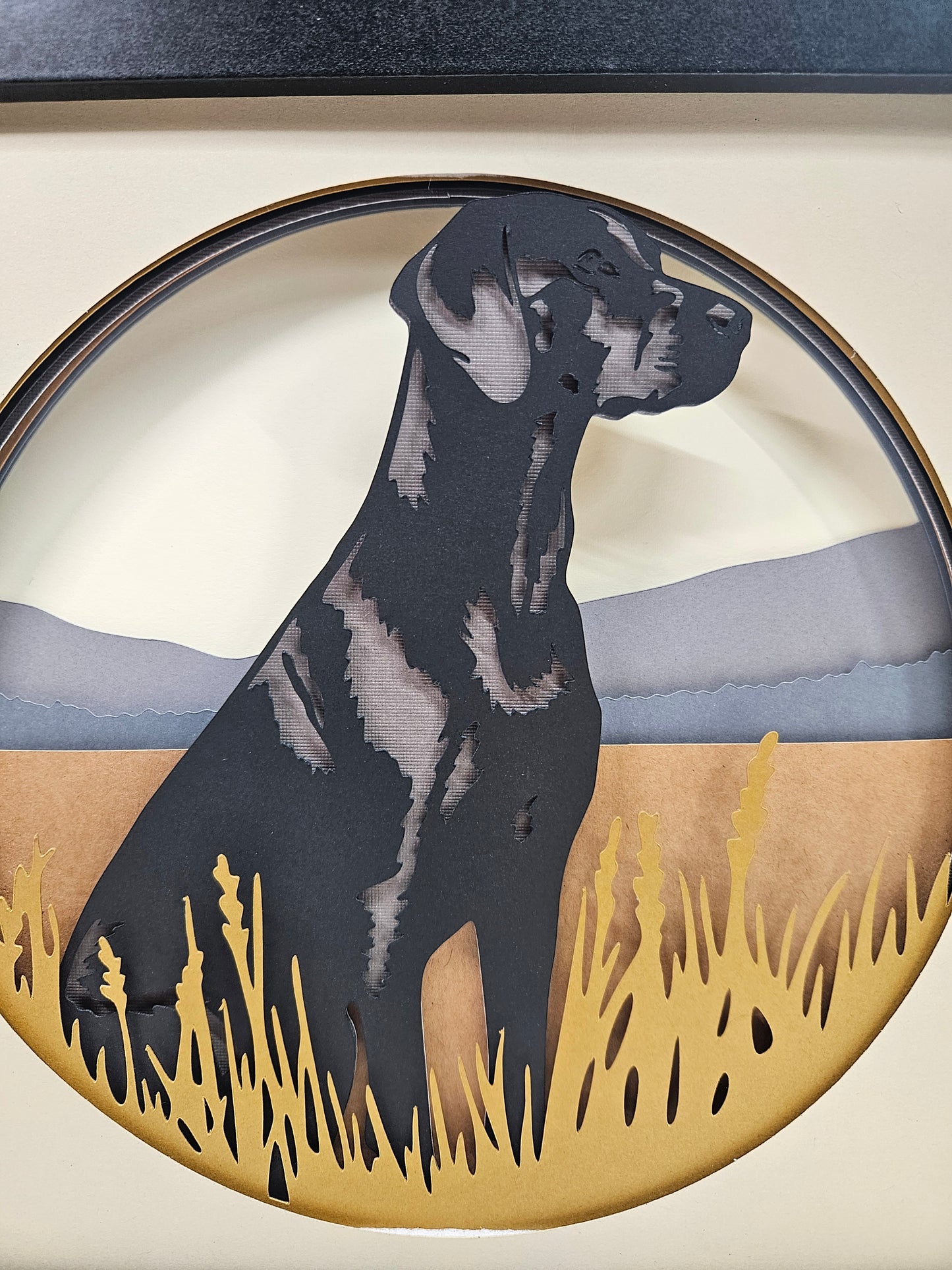 Black Labrador Retriever