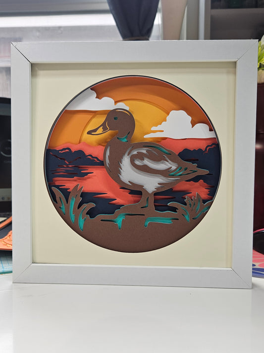 Mallard Duck