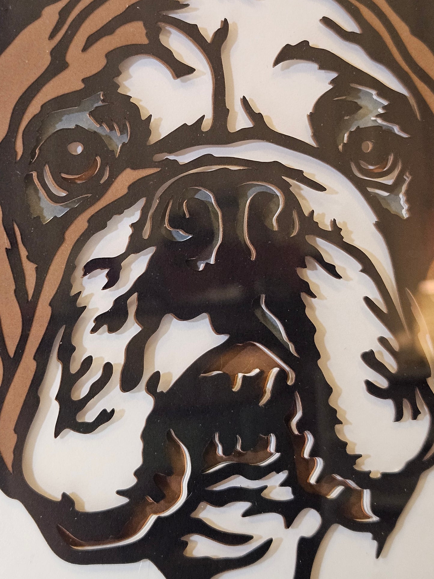 Bulldog