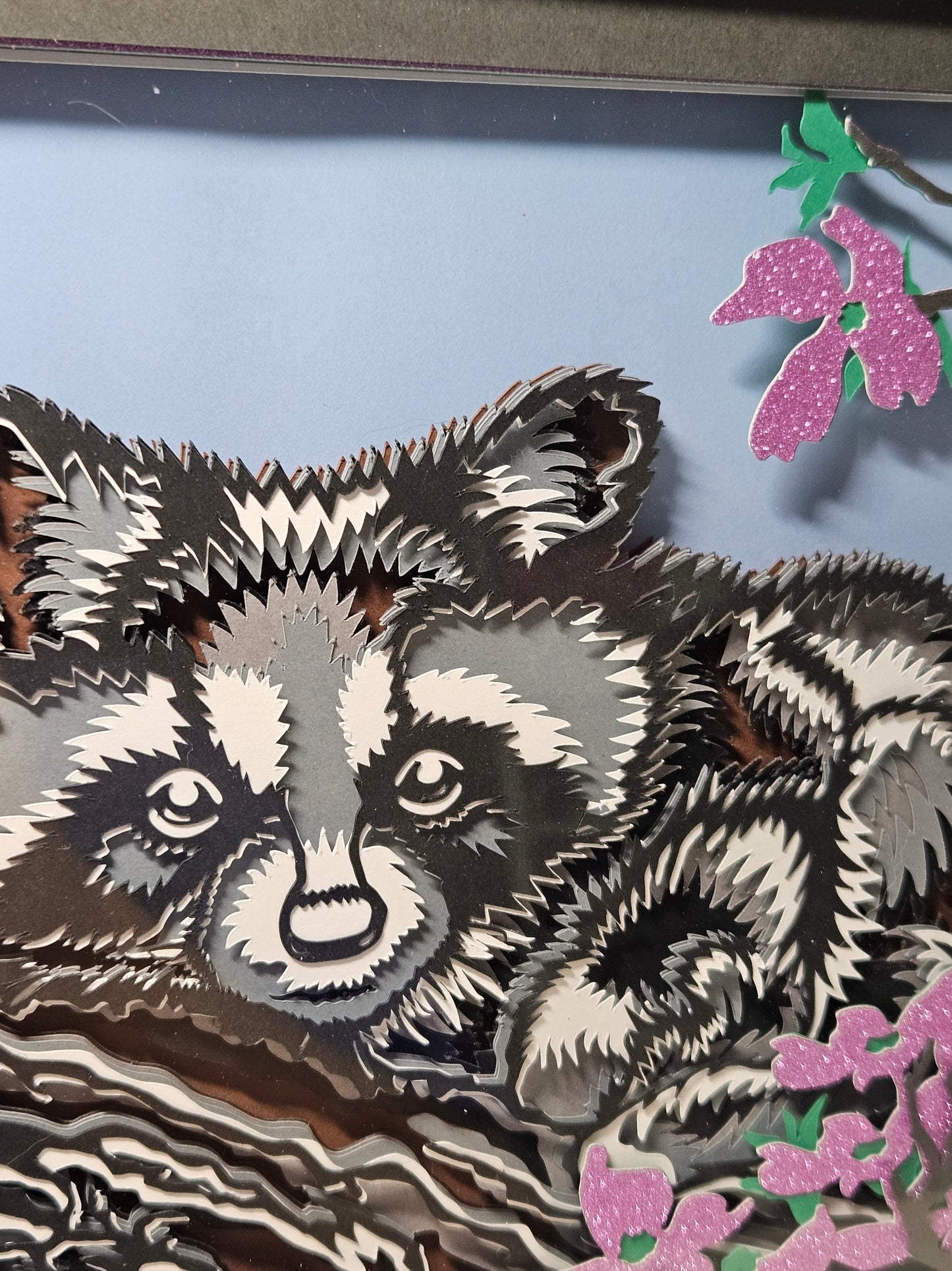 Racoon