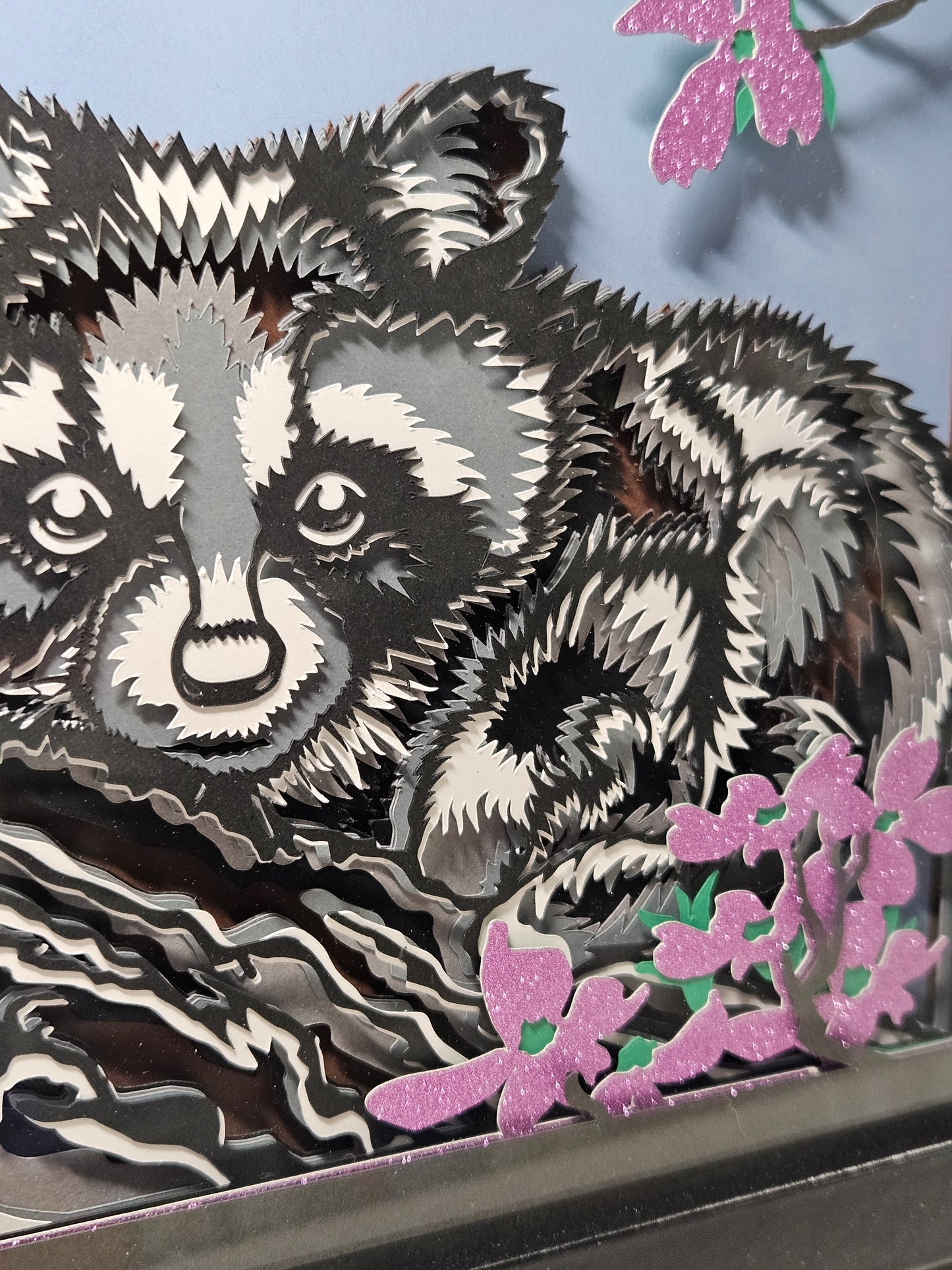 Racoon