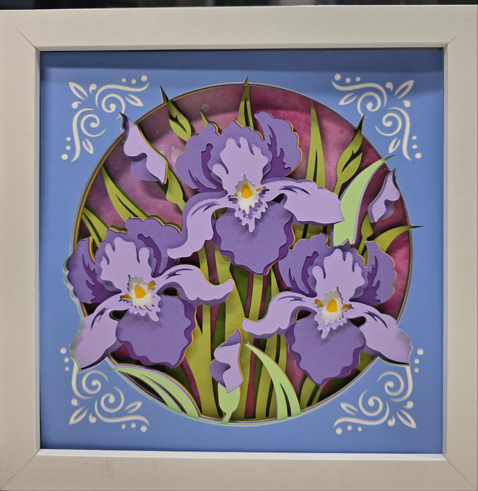 Iris