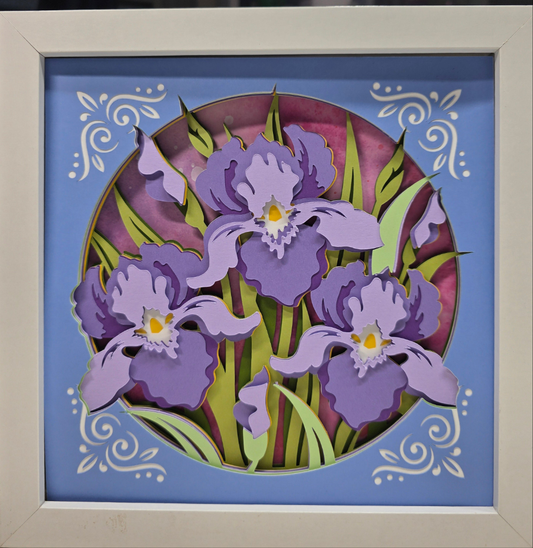 Iris