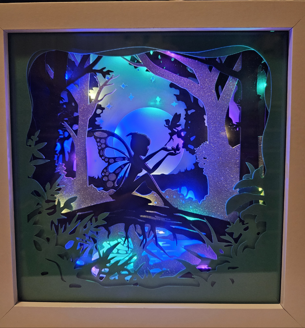 Fairy Lighted Shadow Box