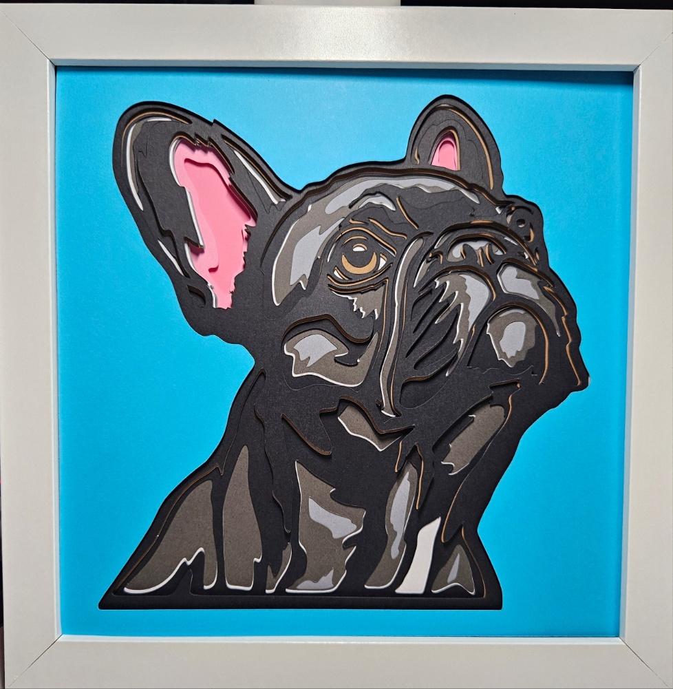 French bulldog