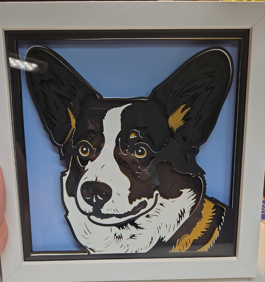 Corgi