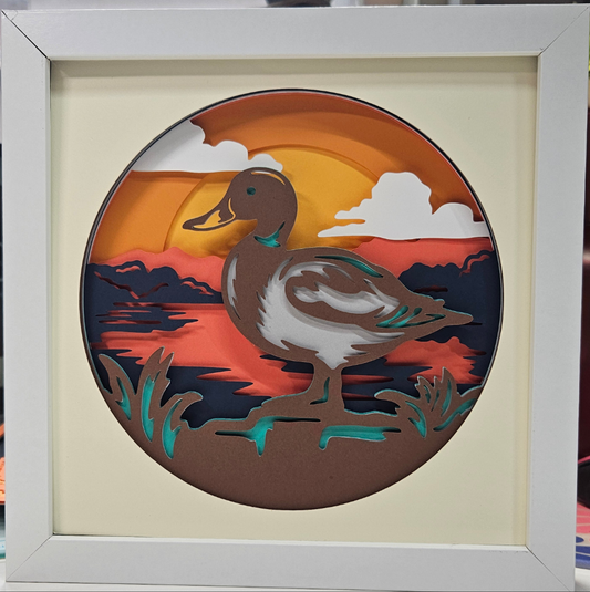 Mallard Duck