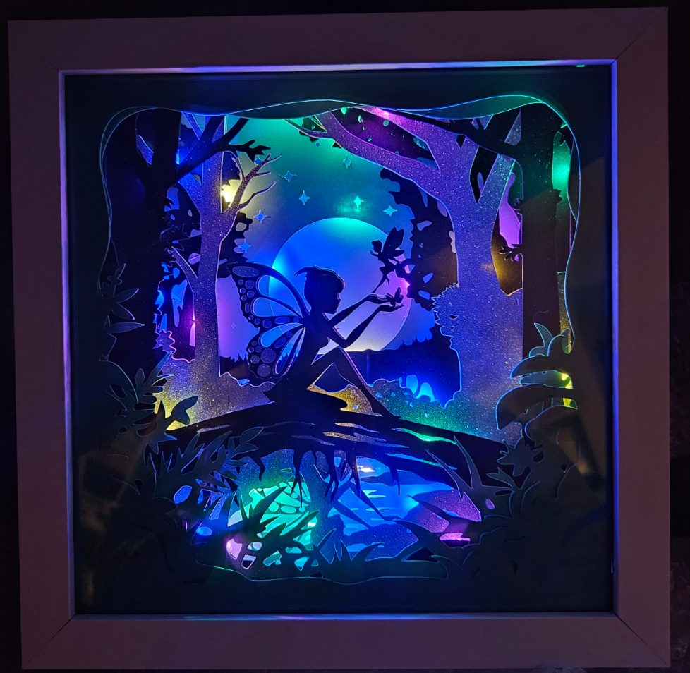 Fairy Lighted Shadow Box