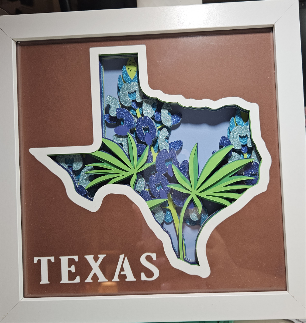 Texas Bluebonnets