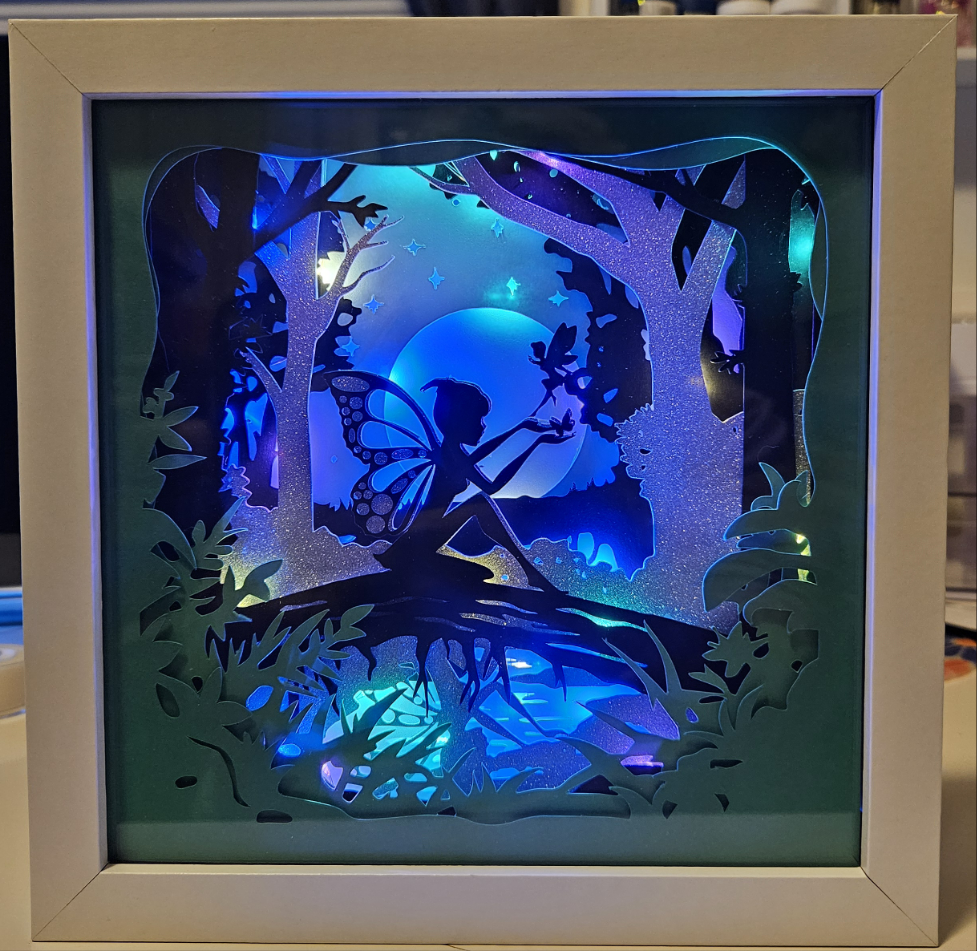 Fairy Lighted Shadow Box