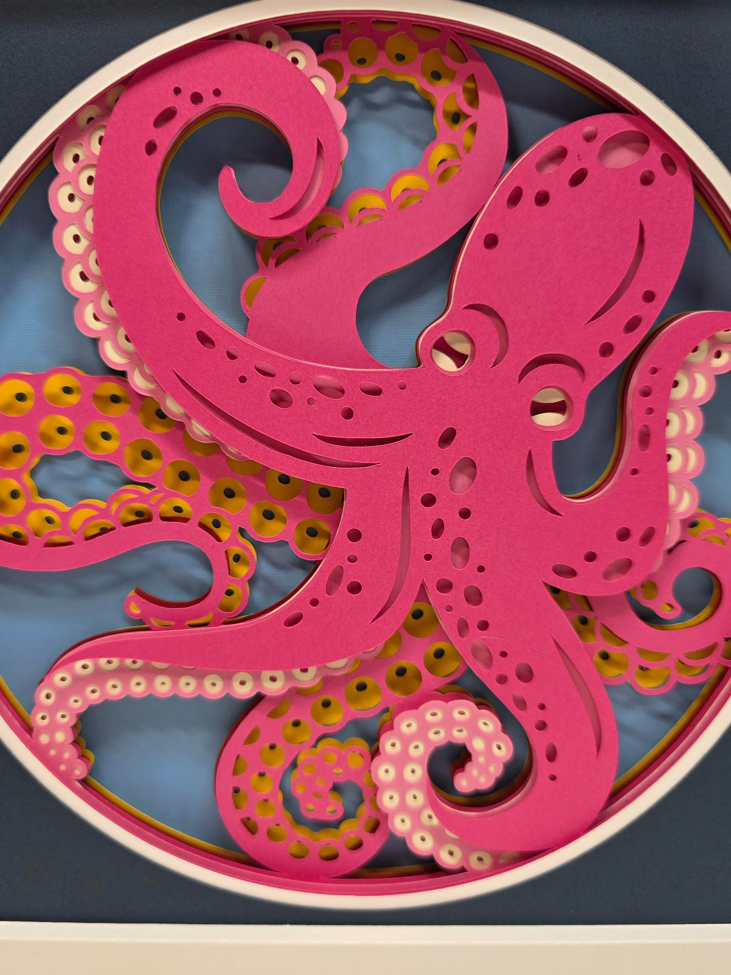 Octopus