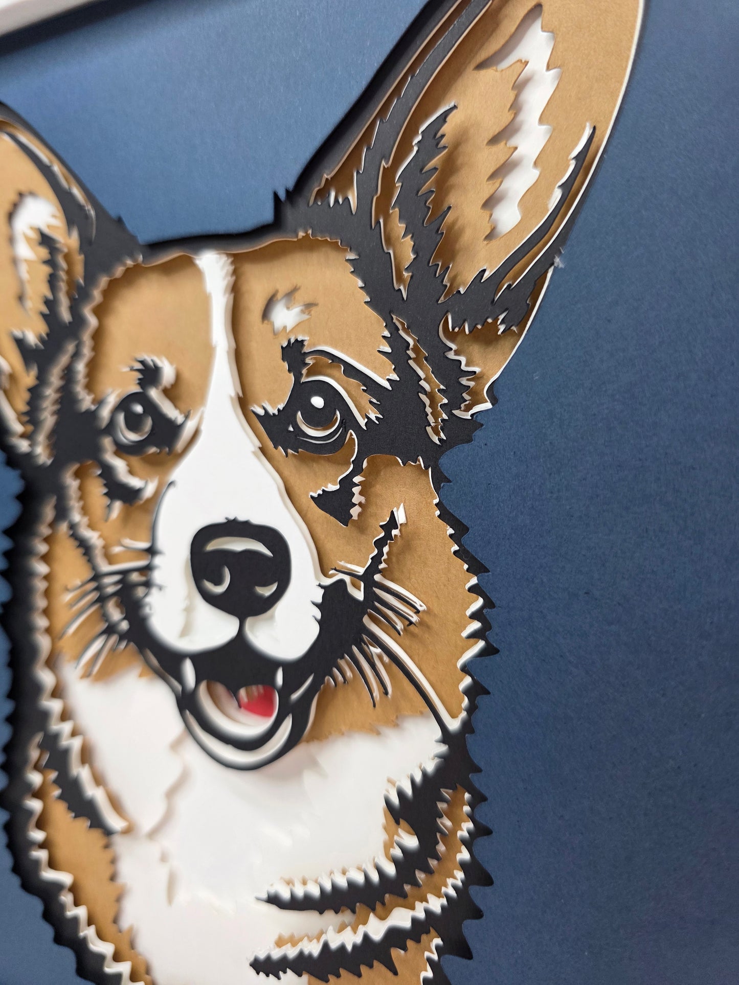 Corgi