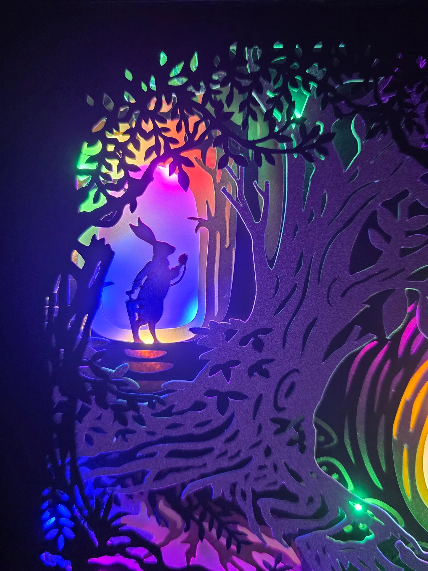 Wonderland