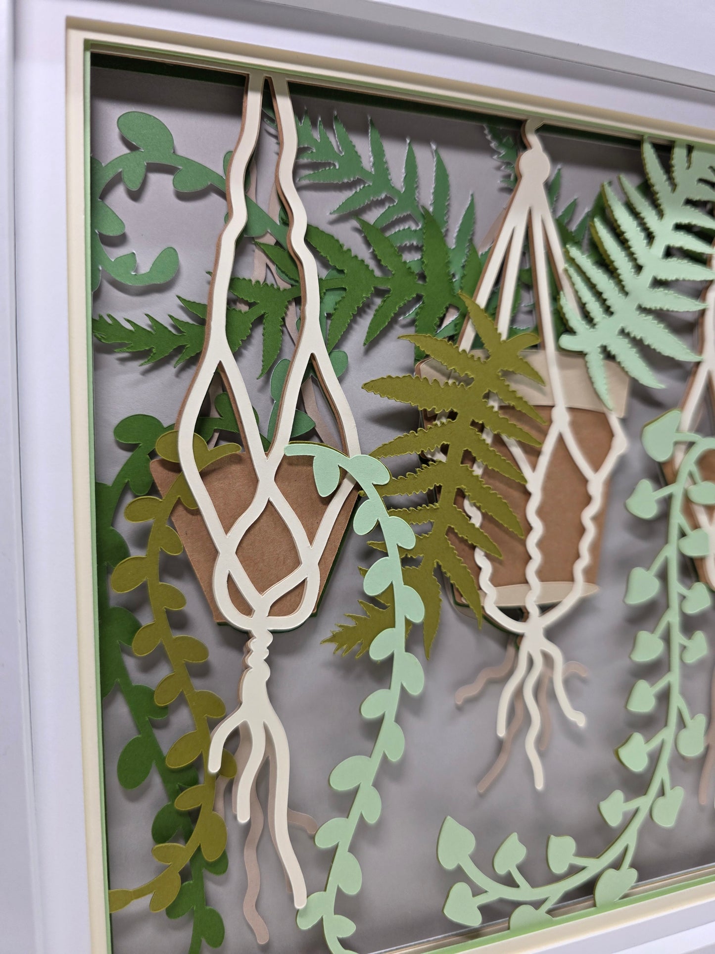 Hanging Plants