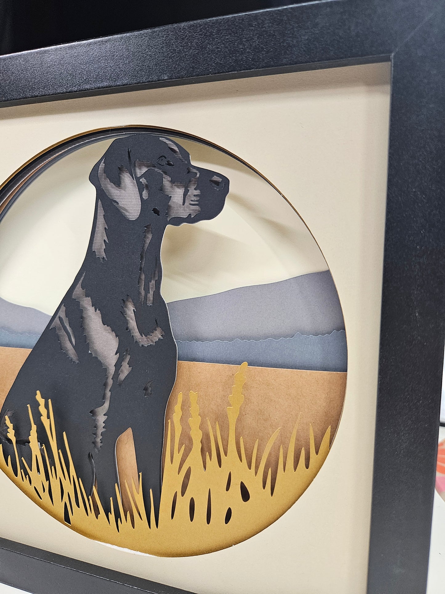 Black Labrador Retriever