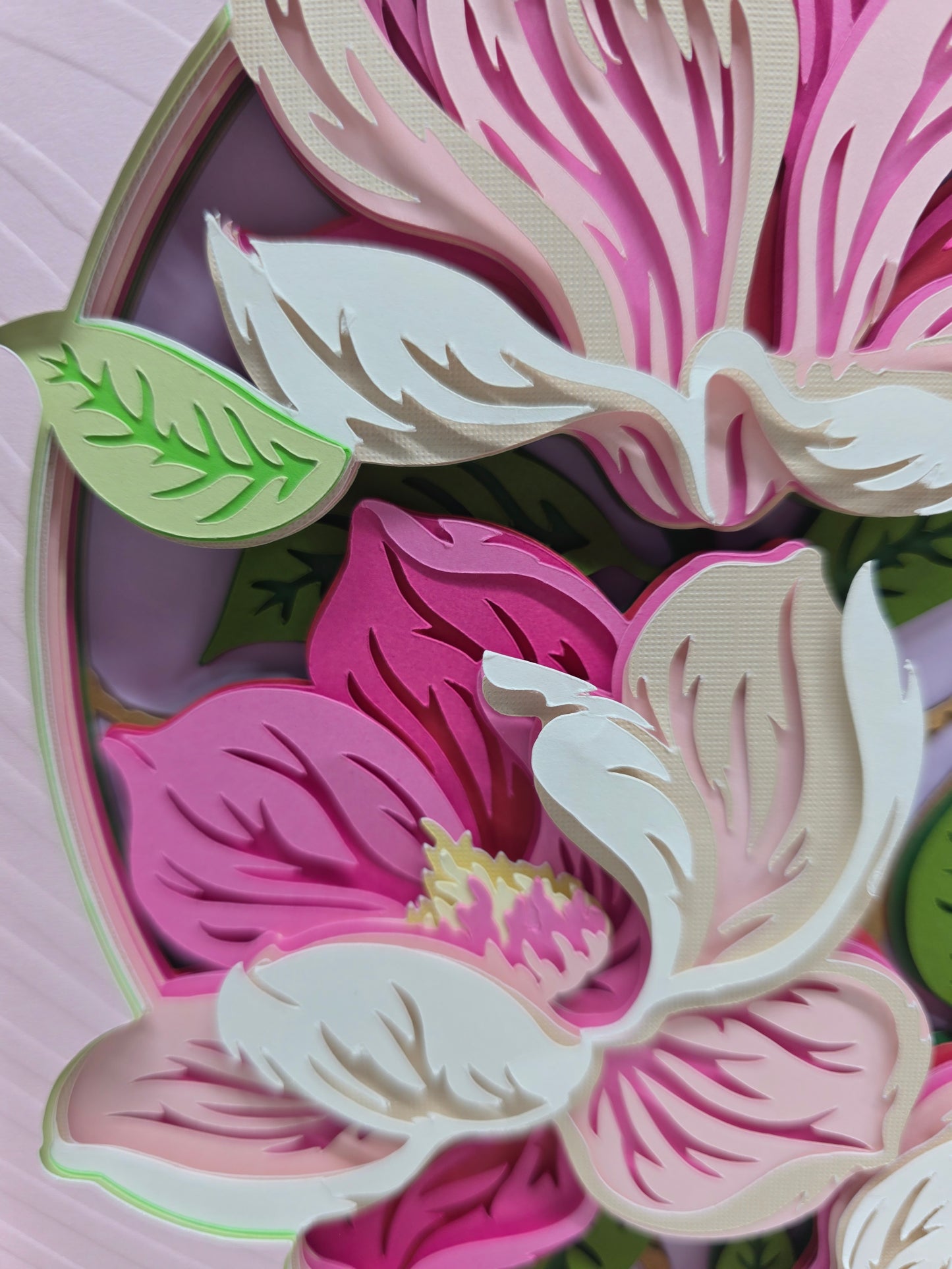 Magnolia