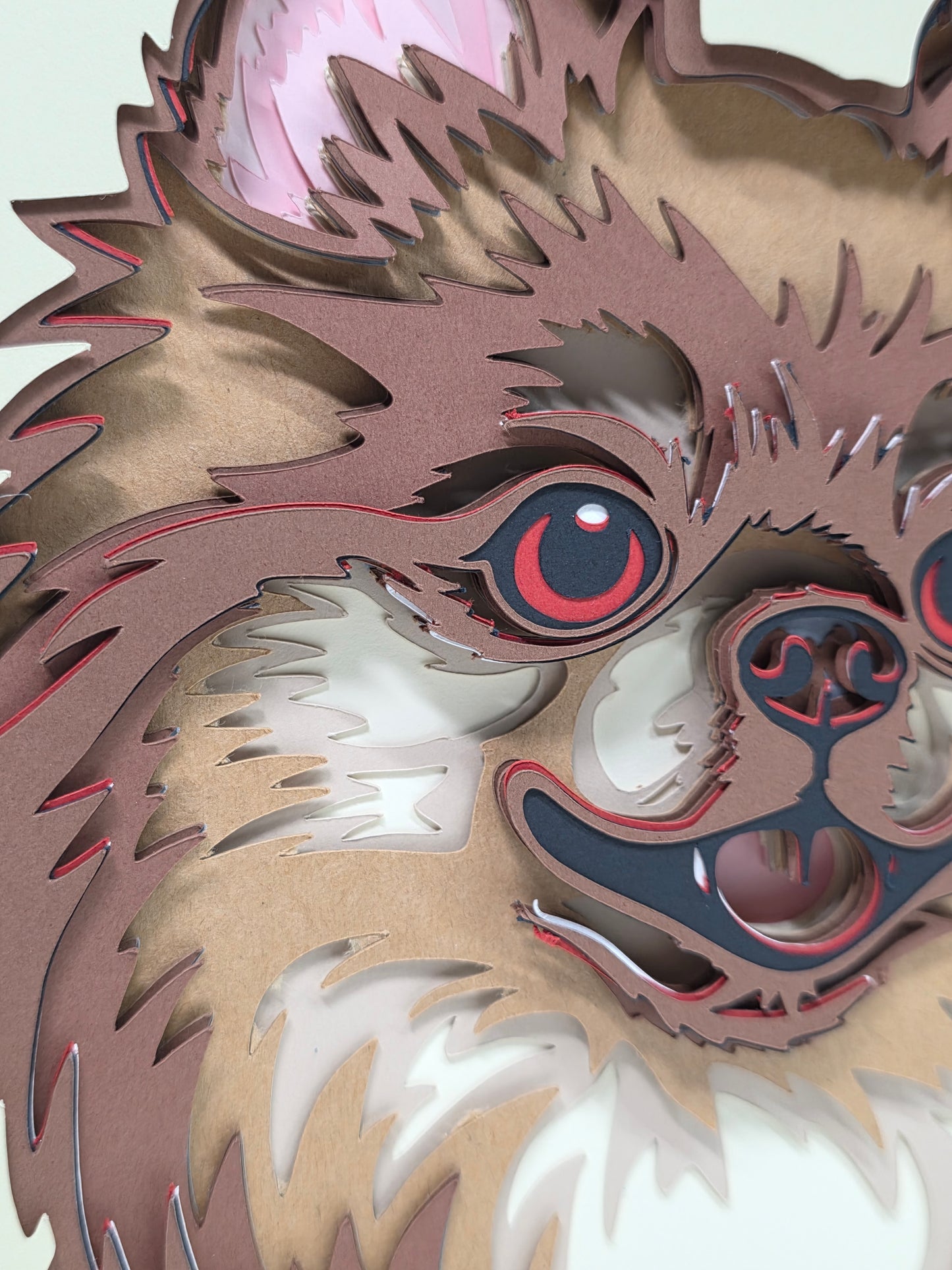 Pomeranian