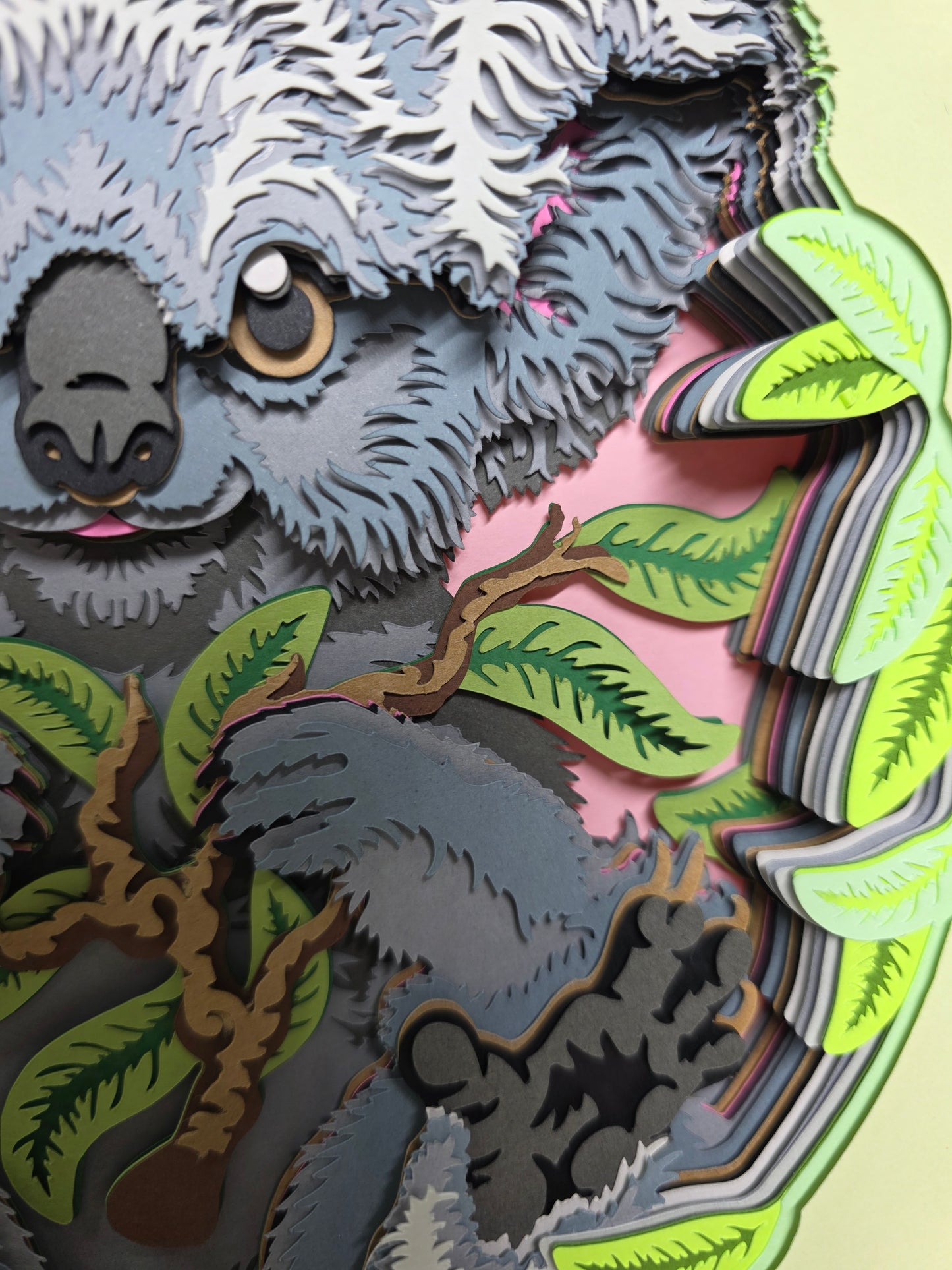 Koala Bear in the forest