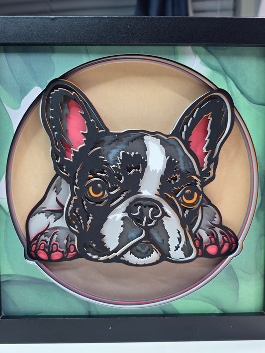 French Bulldog