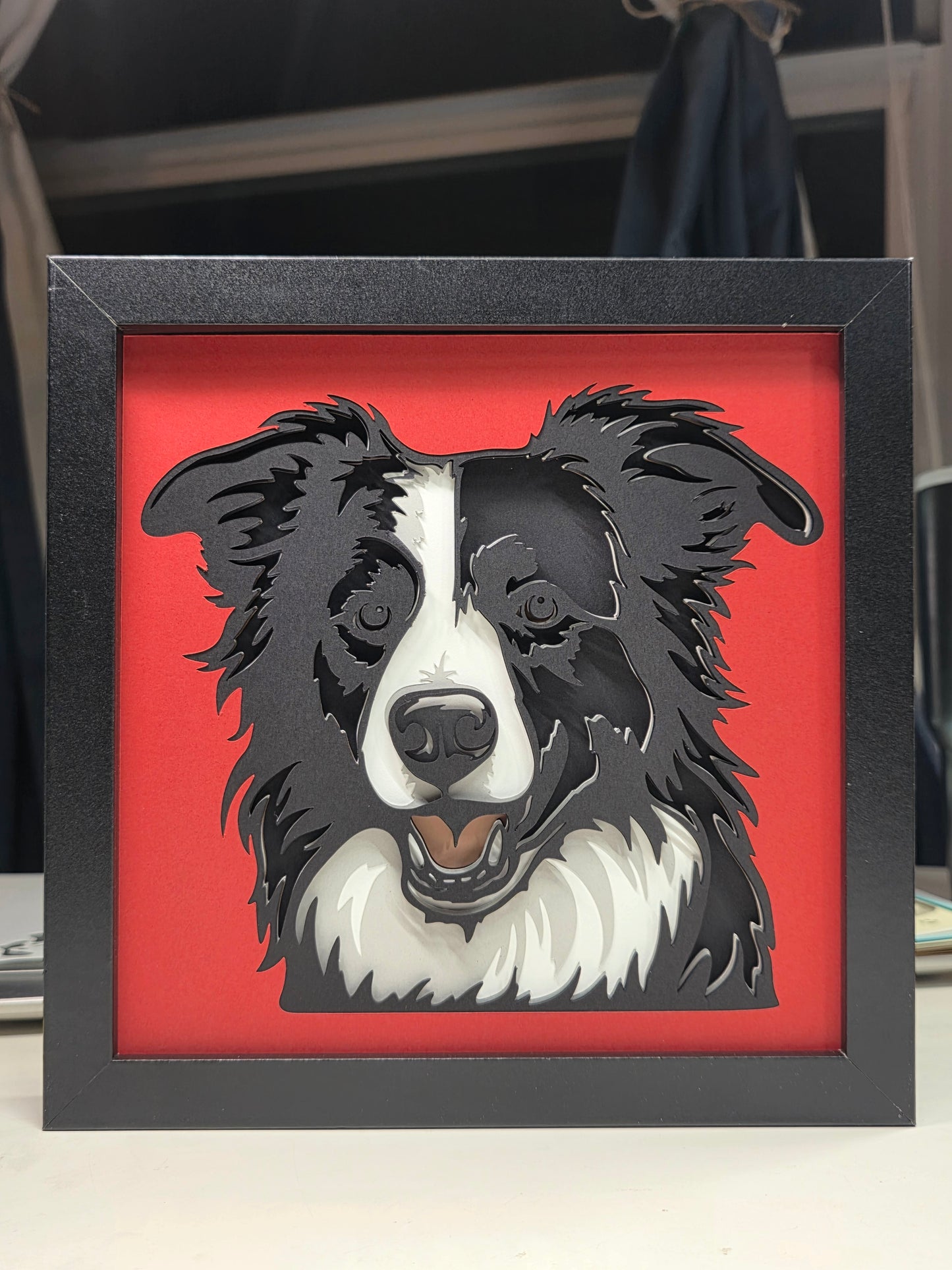 Border Collie