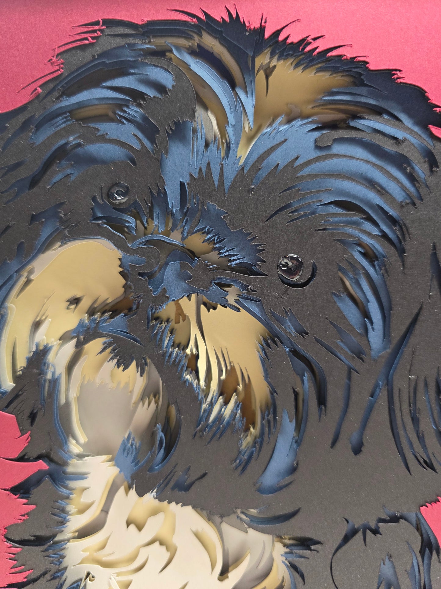 Shitzu