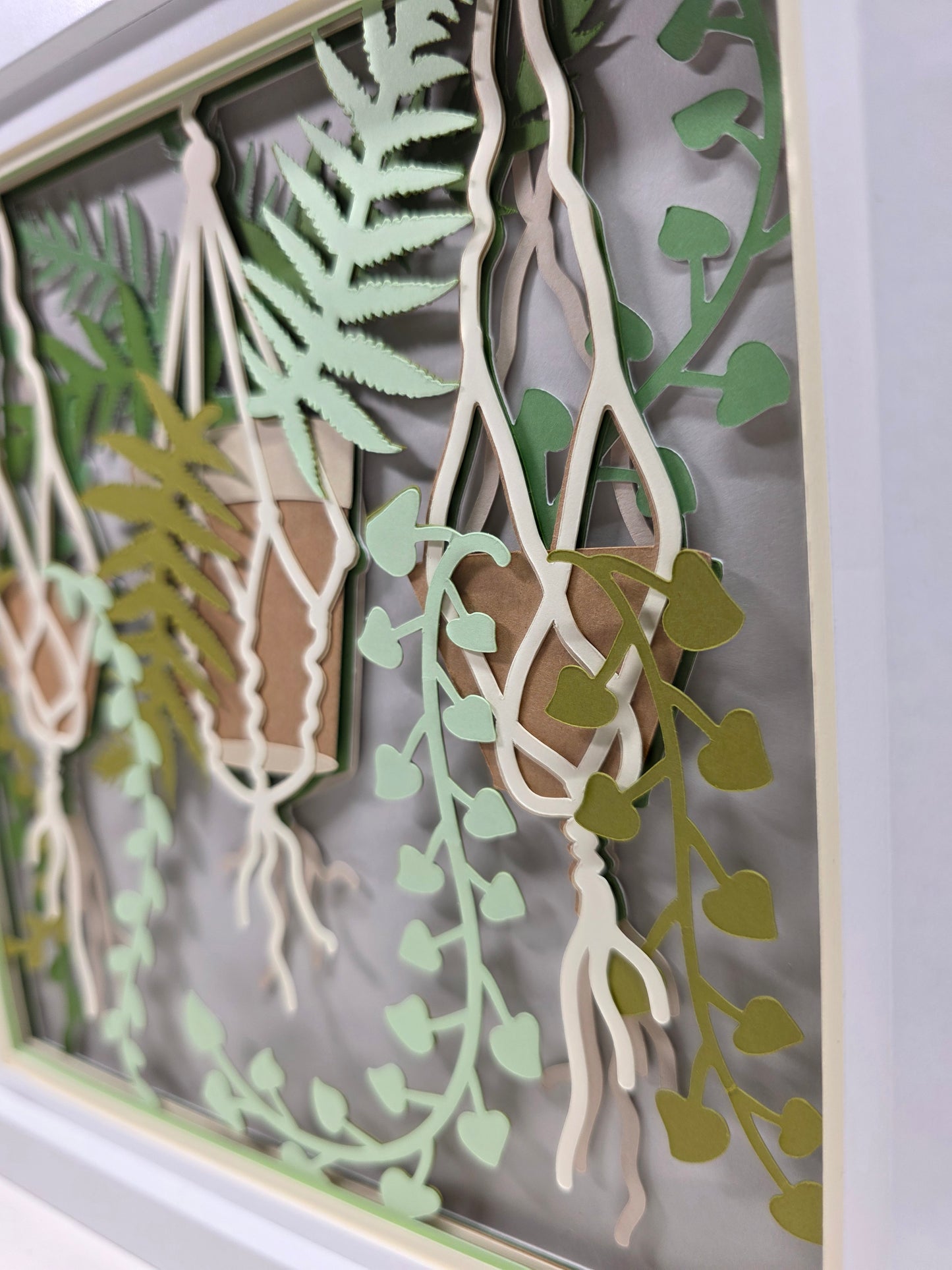 Hanging Plants
