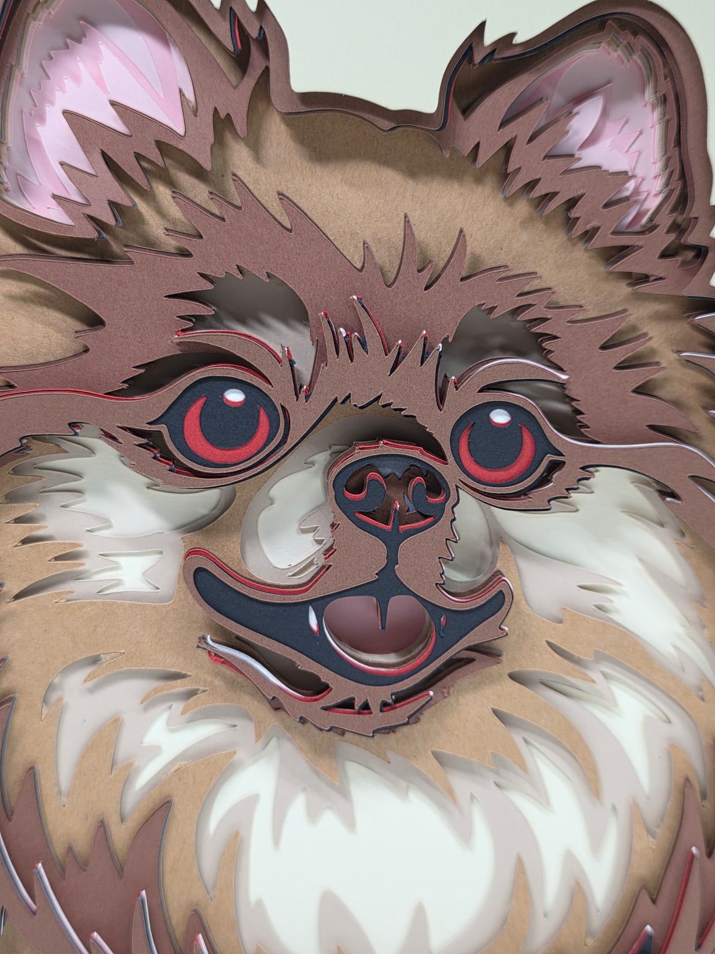 Pomeranian