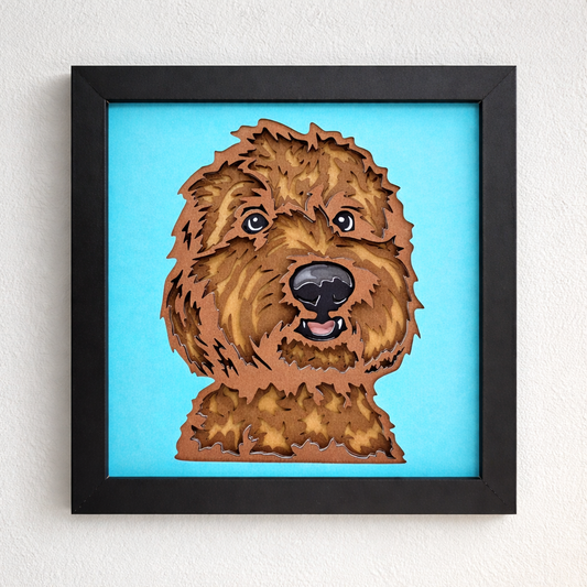 Labradoodle