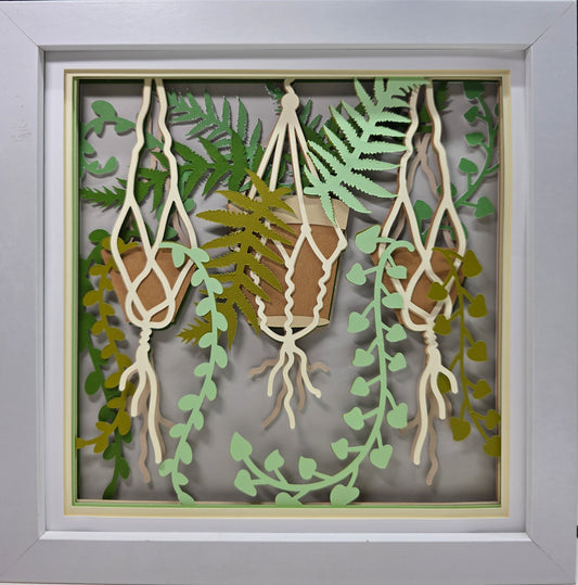 Hanging Plants