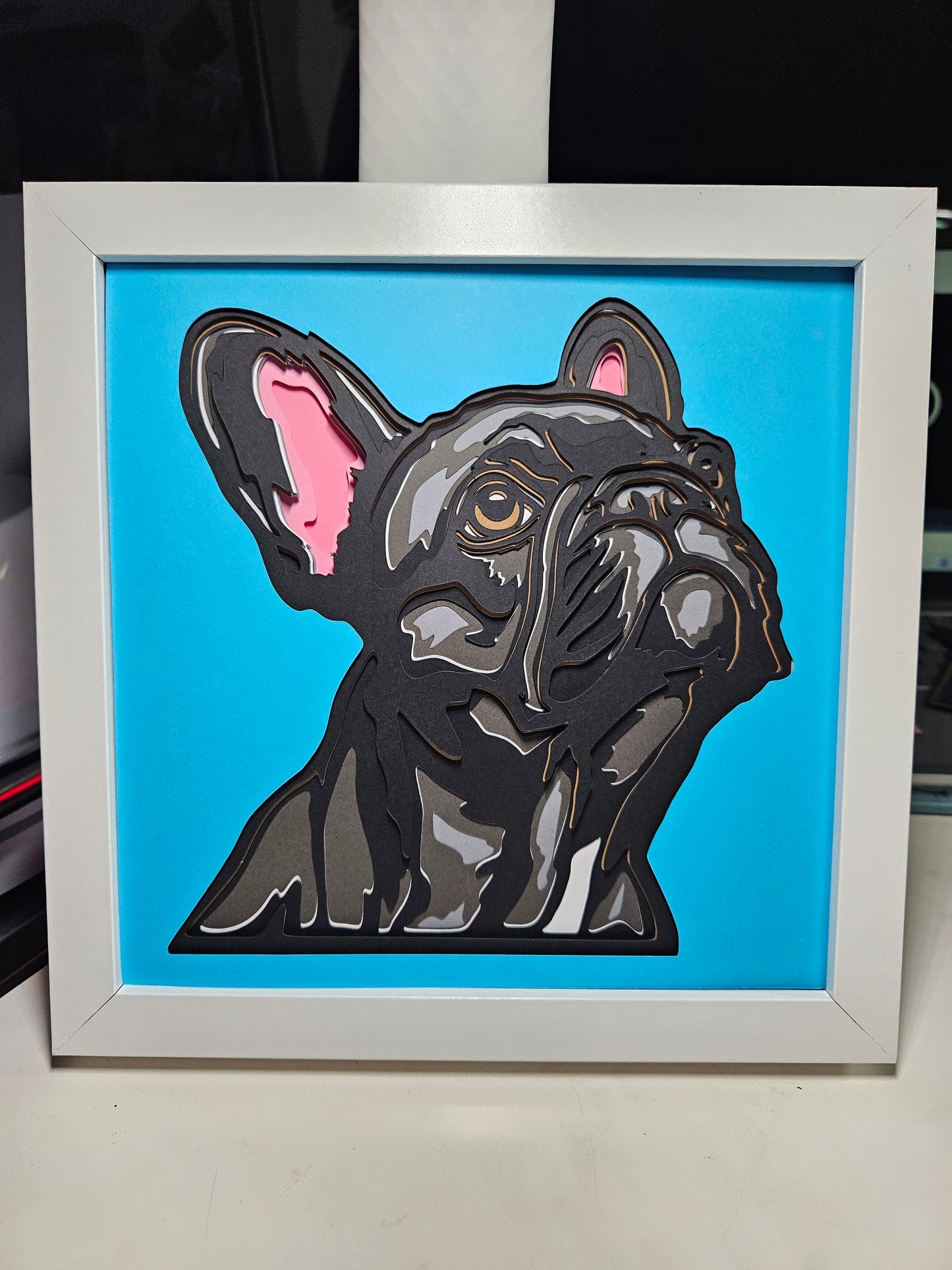 French bulldog