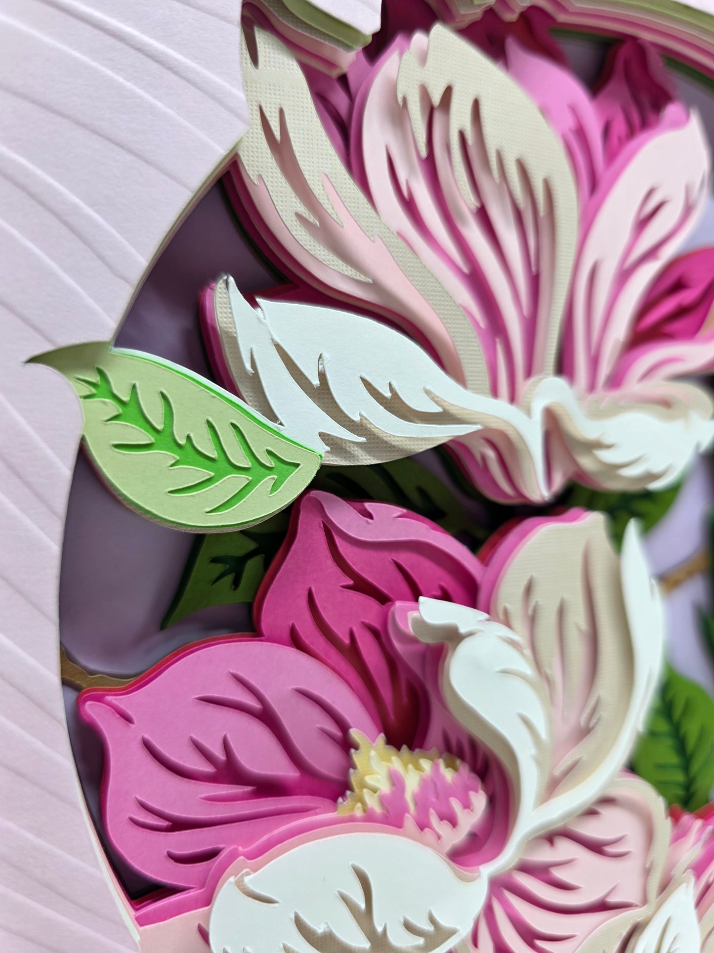 Magnolia