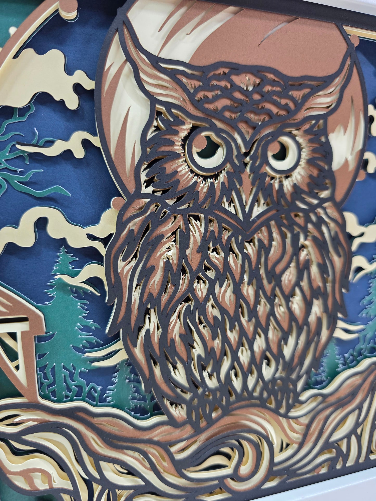 Owl