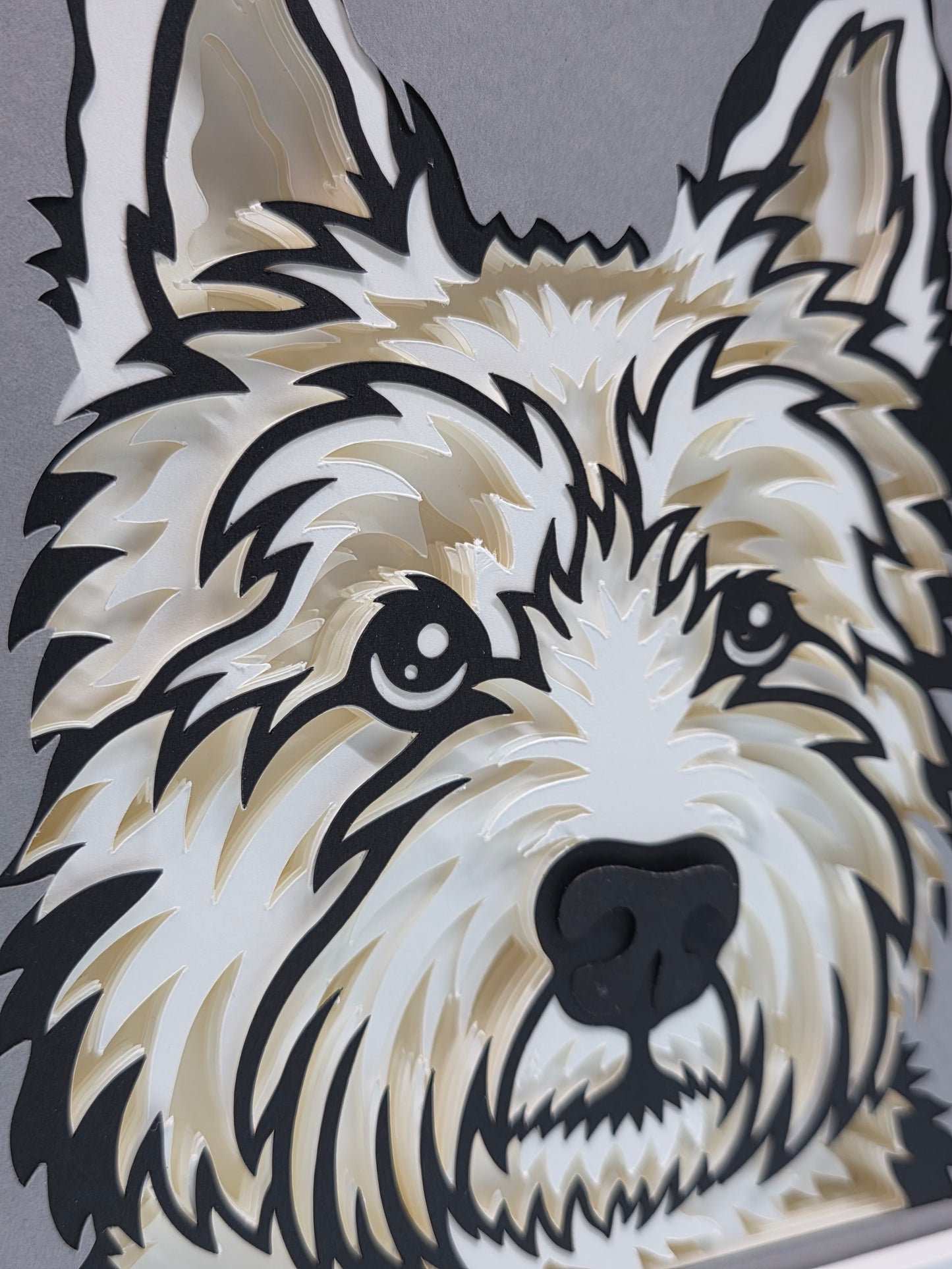 Westie