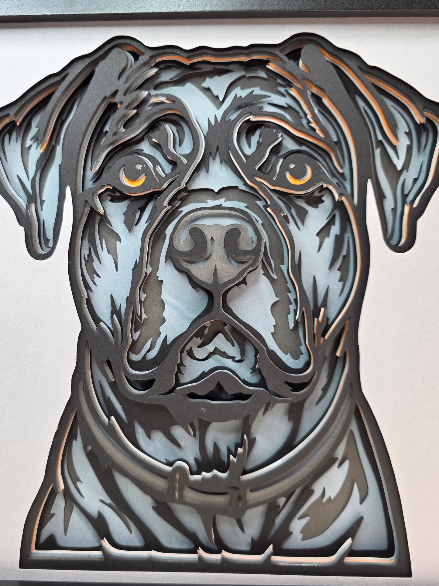 Cane Corso