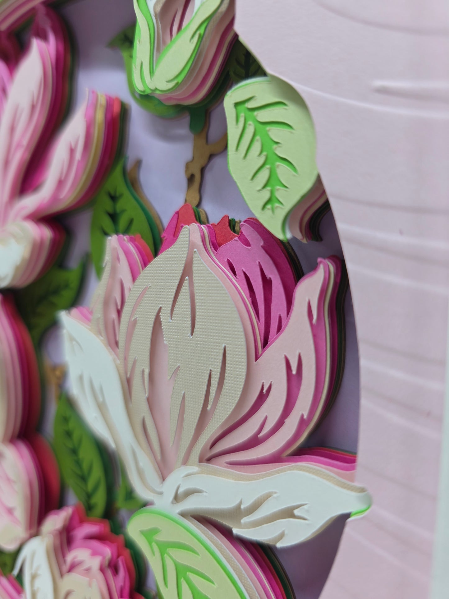 Magnolia
