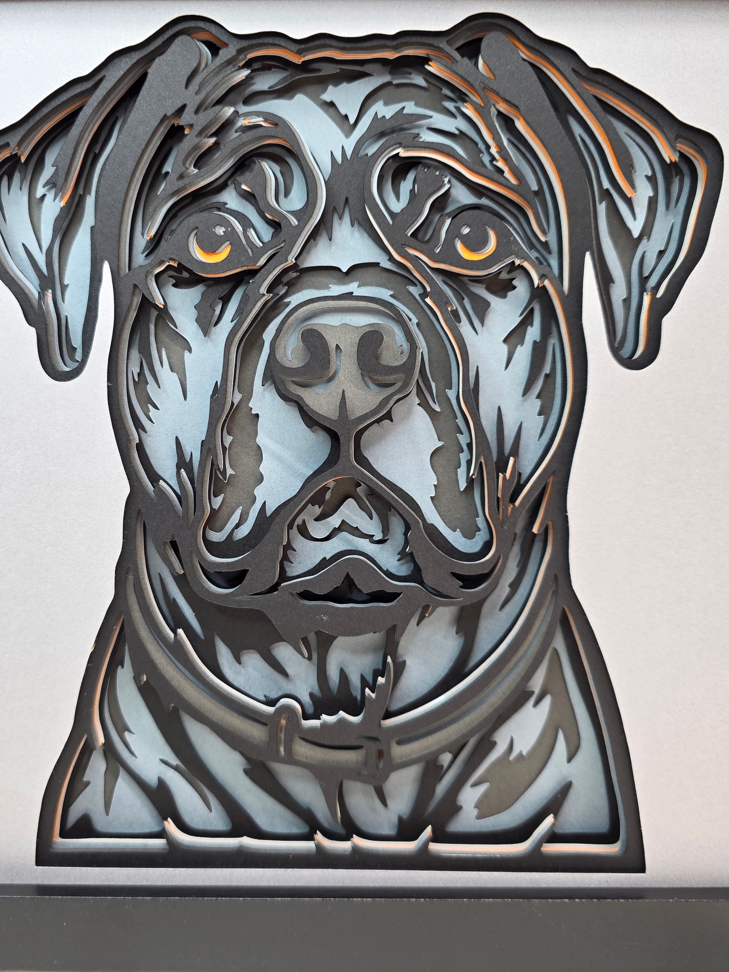 Cane Corso