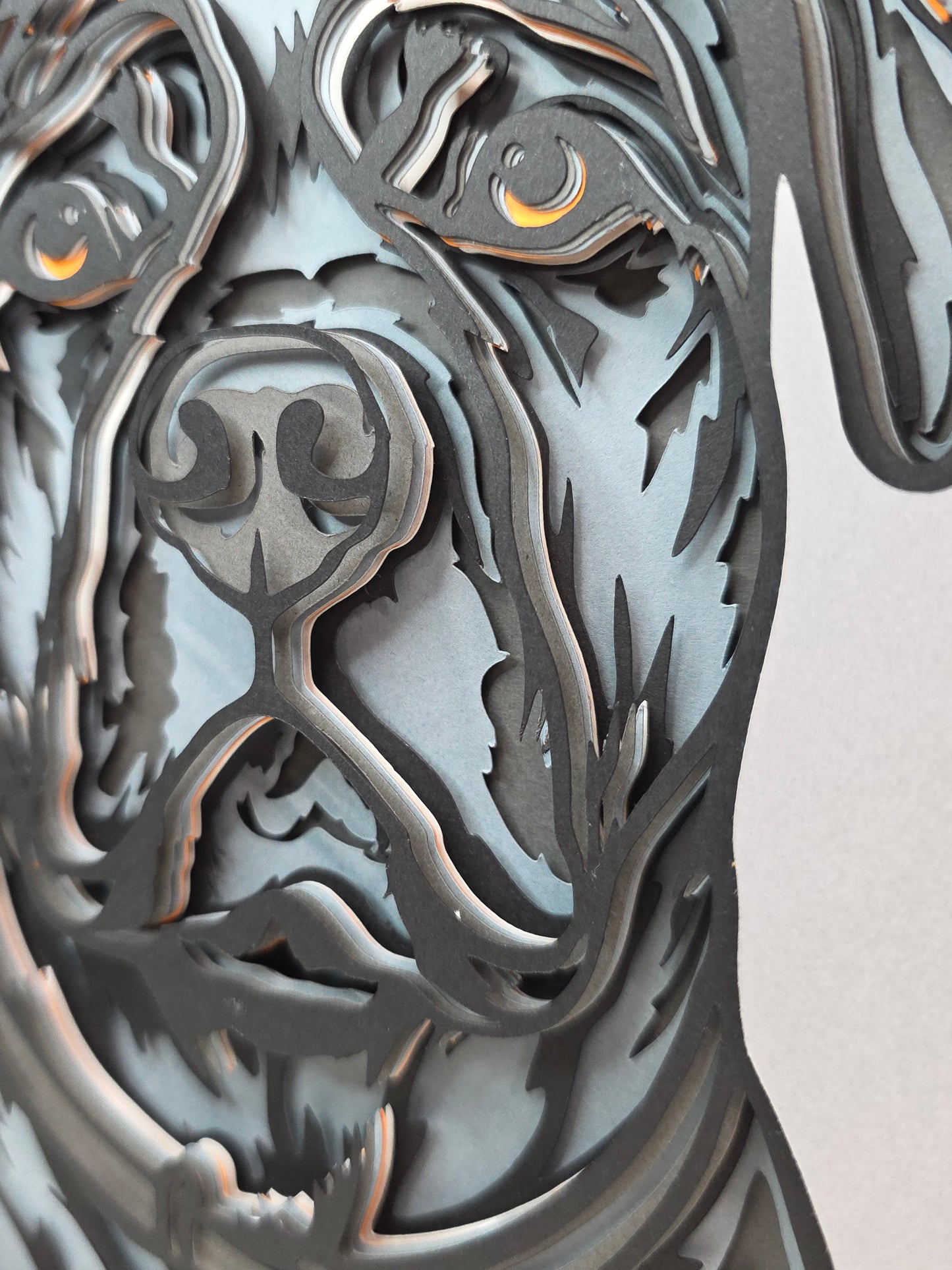 Cane Corso