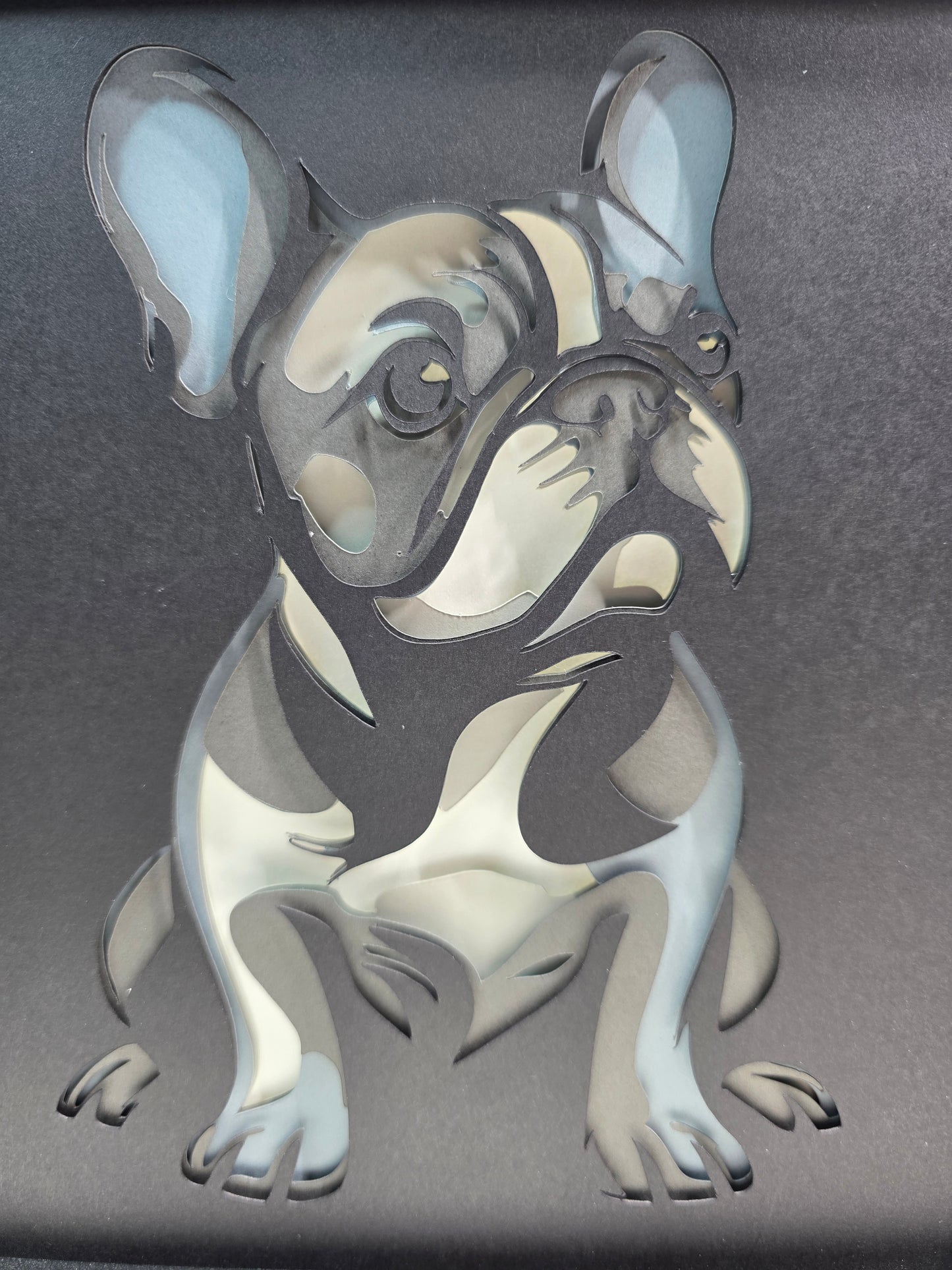 French Bulldog