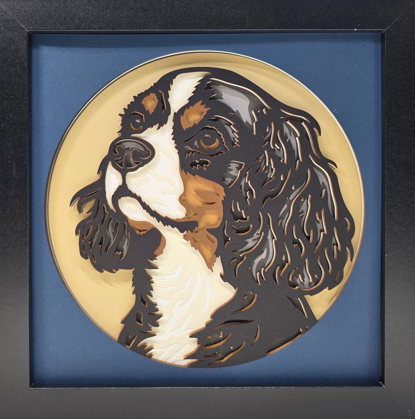 Cavalier King Charles Spaniel