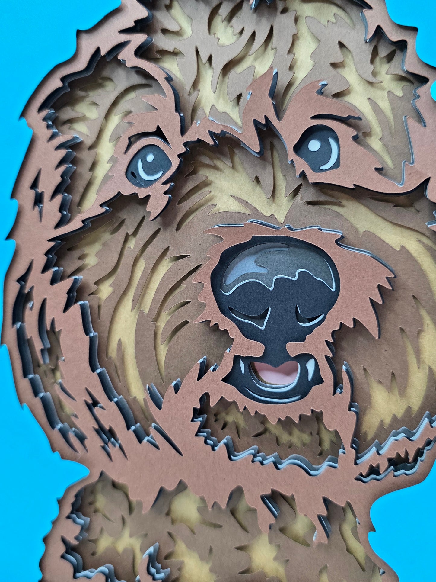 Labradoodle