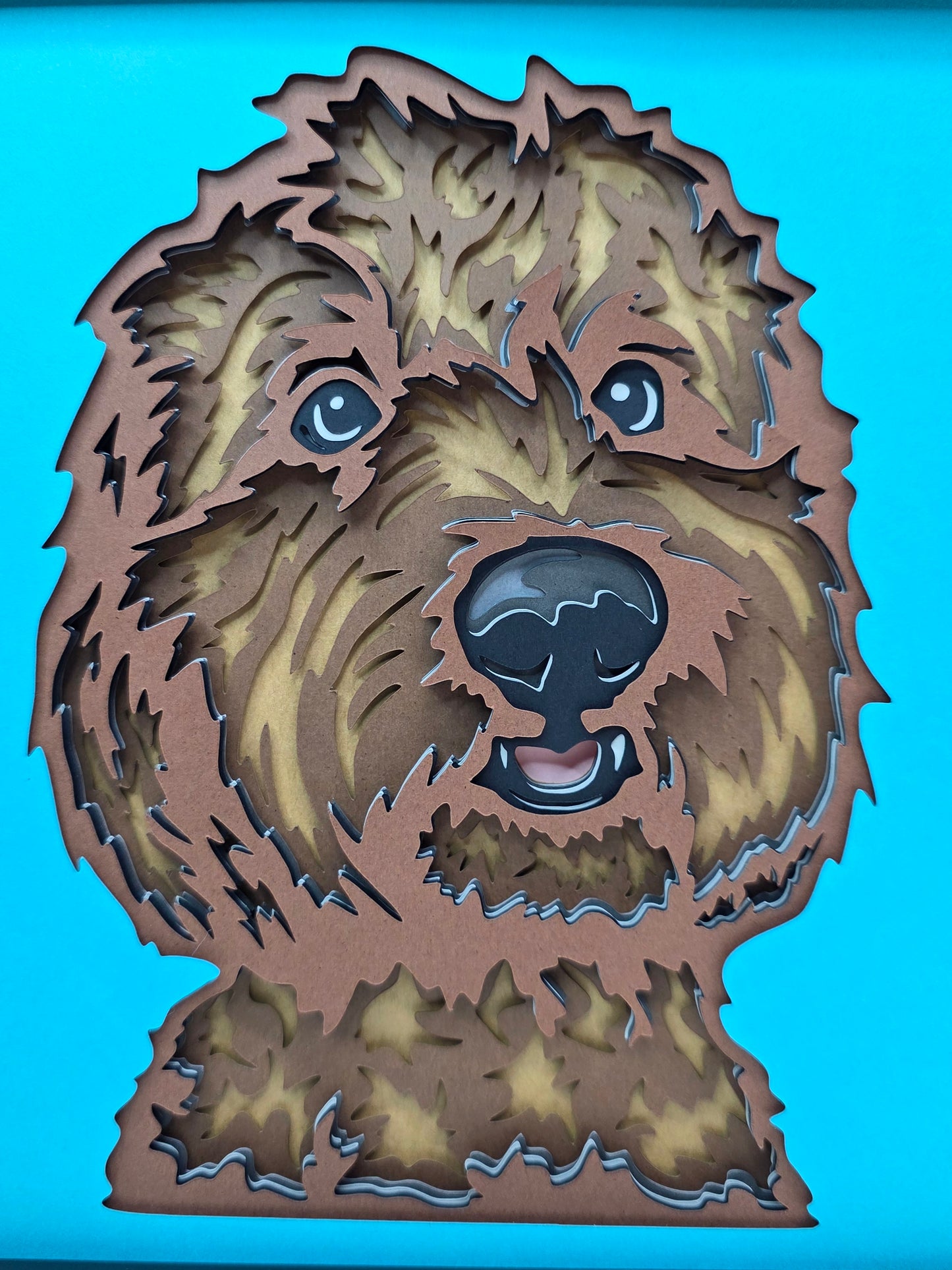Labradoodle