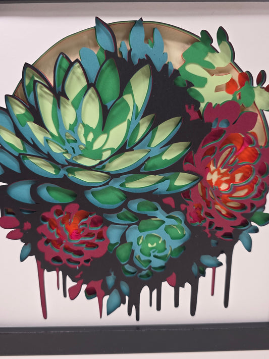 Succulent Plant