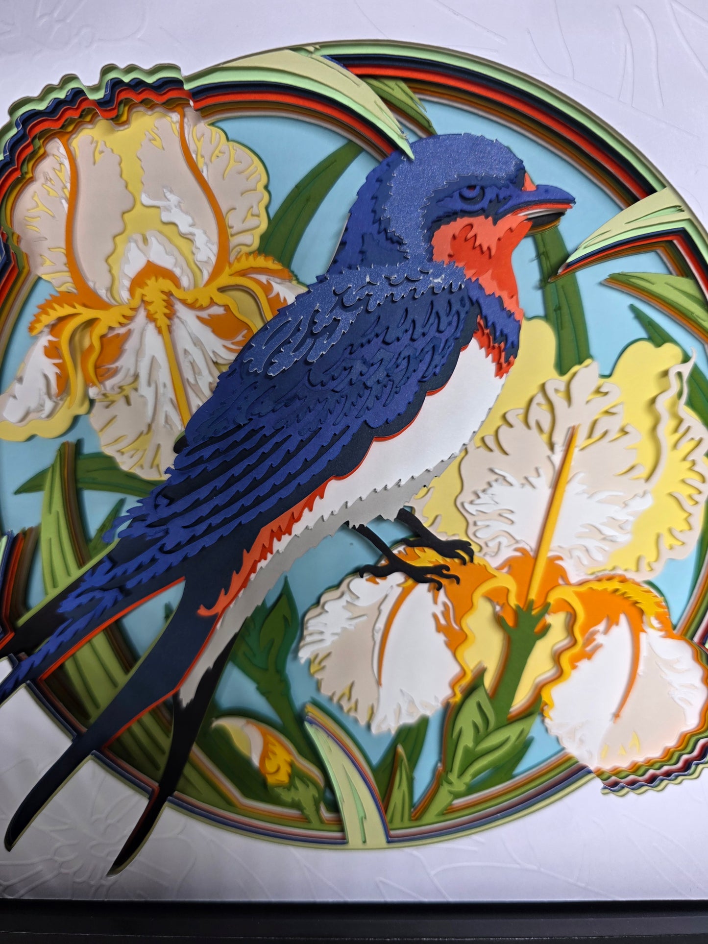 Swallow and Iris's