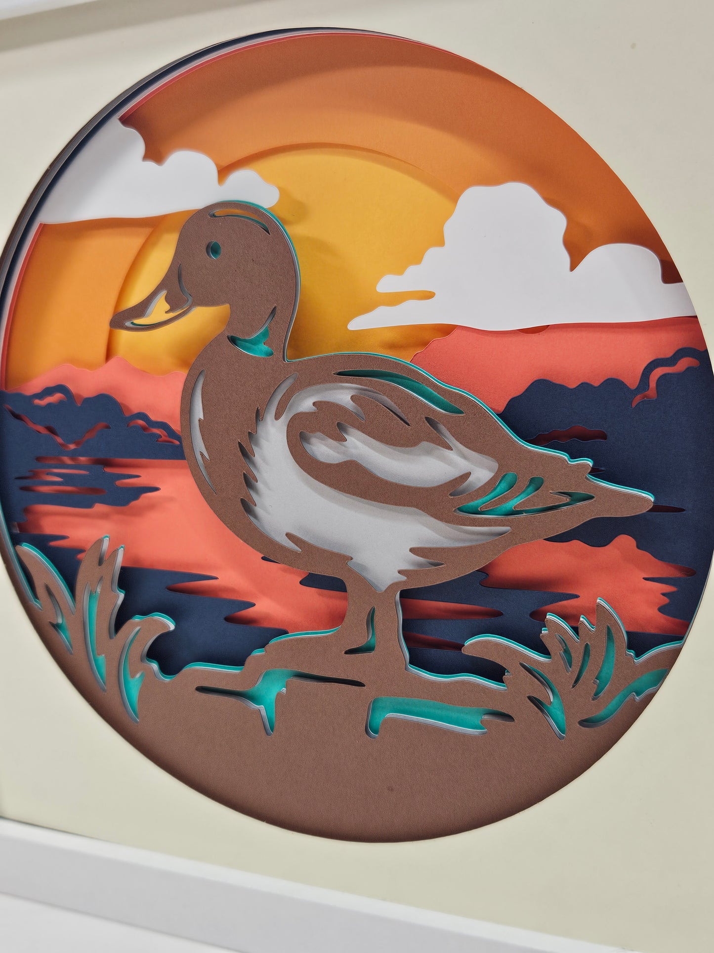 Mallard Duck